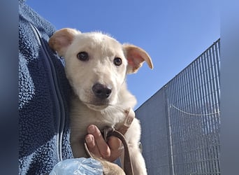 Fiamma: Hallo, hier bin ich!