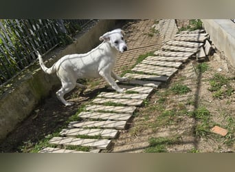 Lea: wer öffnet mir die Tür?