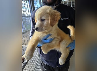 Nelson: vom Flughafen ins schöne Leben