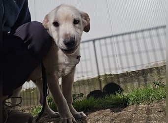 Fidor: Hallo, hier bin ich!