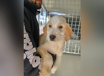 Nelson: vom Flughafen ins schöne Leben