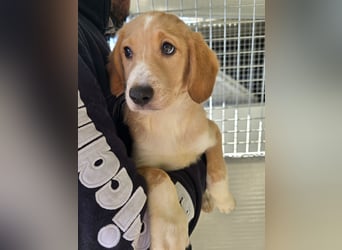 Nele und Noura: vom Flughafen ins schöne Leben