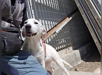 Lea: wer öffnet mir die Tür?