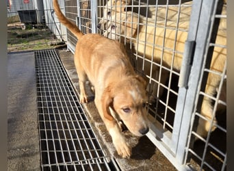 Nele und Noura: vom Flughafen ins schöne Leben