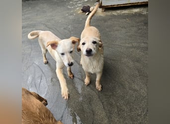 Fidor: Hallo, hier bin ich!