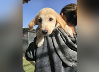 Emanuela: Spaß und gute Laune garantiert