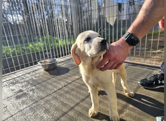 Nelson: vom Flughafen ins schöne Leben