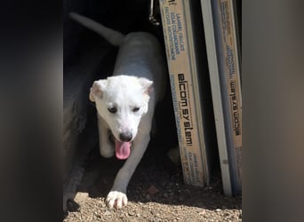 Lea: wer öffnet mir die Tür?