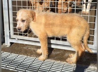 Nele und Noura: vom Flughafen ins schöne Leben