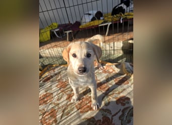 Emanuela: Spaß und gute Laune garantiert