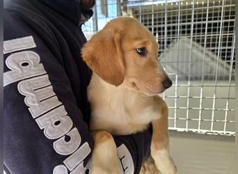 Nele und Noura: vom Flughafen ins schöne Leben