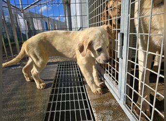 Nelson: vom Flughafen ins schöne Leben