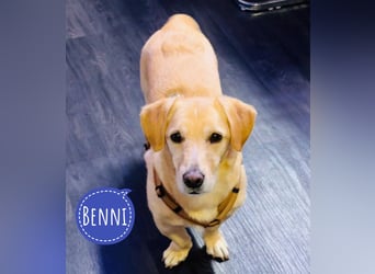 Benni ein absoluter Traum