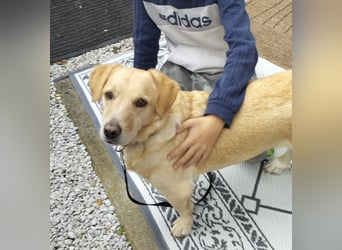 Benni ein absoluter Traum