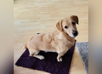 Benni ein absoluter Traum