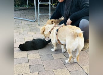 Benni ein absoluter Traum