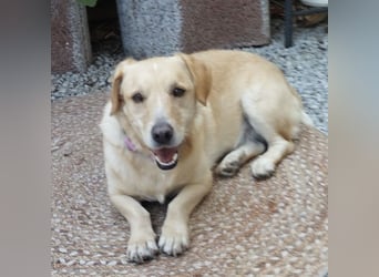 Benni ein absoluter Traum