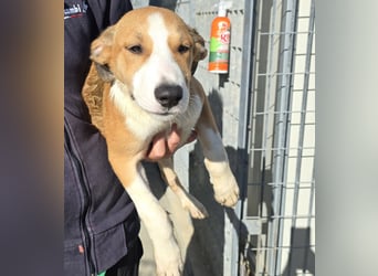 Billie: Hallo, hier bin ich!