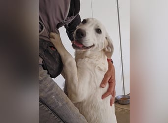 Lea: man muss sie einfach gern haben