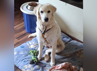 Greta: will spielen, kuscheln, die Welt entdecken