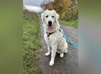 Greta: will spielen, kuscheln, die Welt entdecken