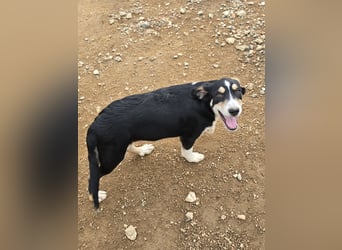 Birdie: unser kleiner Sonnenschein