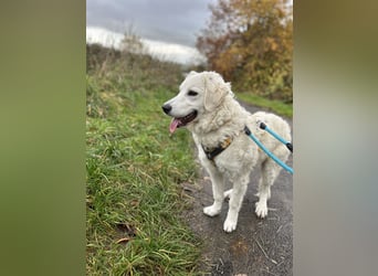 Greta: will spielen, kuscheln, die Welt entdecken