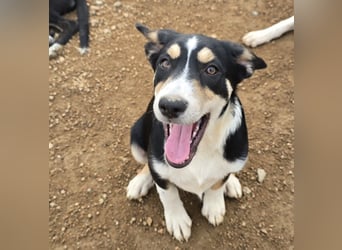 Birdie: unser kleiner Sonnenschein