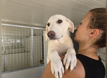 Foggia: wer hat mich lieb?