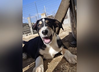 Birdie: unser kleiner Sonnenschein