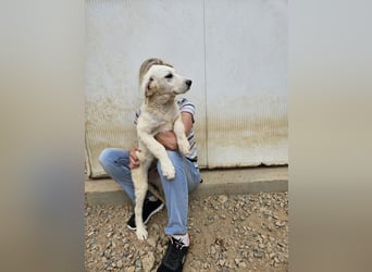 Greta: wer zeigt mir die bunte Welt? Greta: wer zeigt mir die bunte Welt?