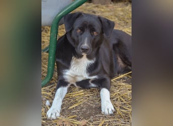 FENJA - auf der Suche nach einem Zuhause