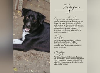 FENJA - auf der Suche nach einem Zuhause