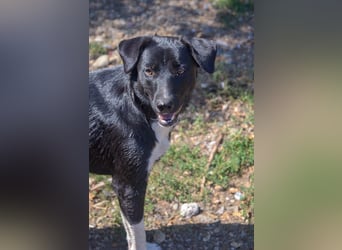 FENJA - auf der Suche nach einem Zuhause