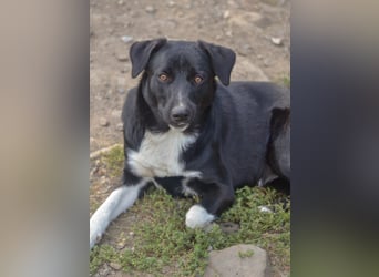 FENJA - auf der Suche nach einem Zuhause