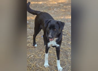 FENJA - auf der Suche nach einem Zuhause