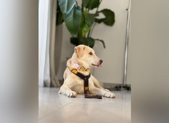 Kenba: ein Schatz für die ganze Familie