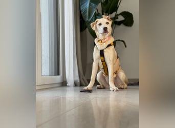 Kenba: ein Schatz für die ganze Familie