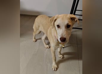 Kenba: ein Schatz für die ganze Familie