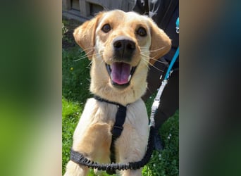 Nelio ❤️ wartet in 09648 Mittweida auf dich