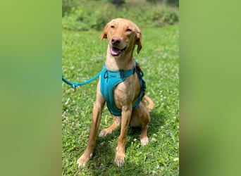 Dany ❤️ wartet bereits in 23617 Stockelsdorf