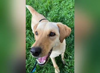 Nelio ❤️ wartet in 09648 Mittweida auf dich