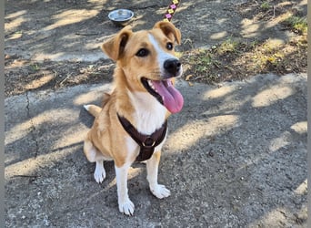 Süße Tilda sucht ihre Menschen Süße Tilda sucht ihre Menschen