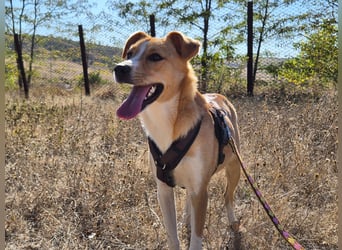 Süße Tilda sucht ihre Menschen Süße Tilda sucht ihre Menschen