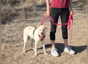 Bailey sucht ihre Menschen Bailey sucht ihre Menschen