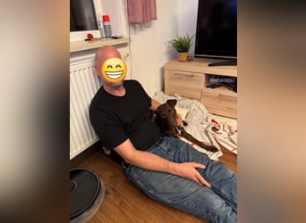 Roma, sportlich und menschenbezogen