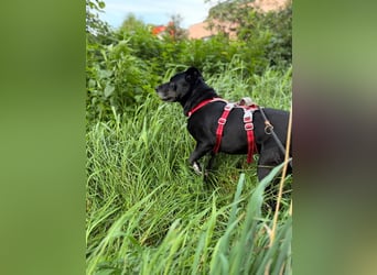 Blacky - sooo liebevoll