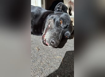 Blacky - sooo liebevoll