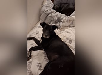 Blacky - sooo liebevoll