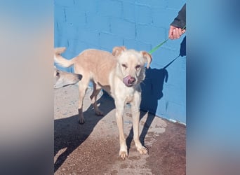 Edu, sucht seine Familie